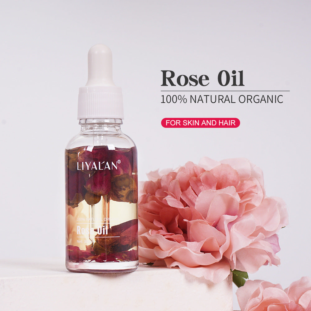 Huile essentielle de rose multi-usages 30 ml : pour le visage, le corps et les cheveux - Huile essentielle botanique hydratante