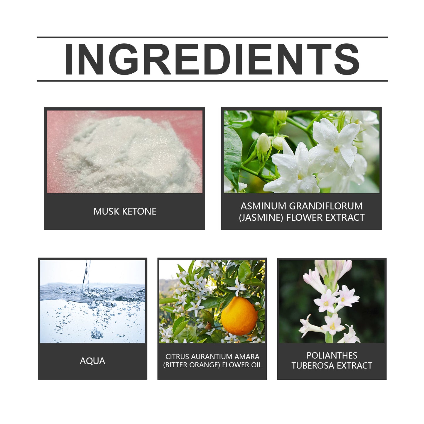 Parfum de style arabe Roxelis parfum de soirée  extrait de jasmin huile essentielle Néroli