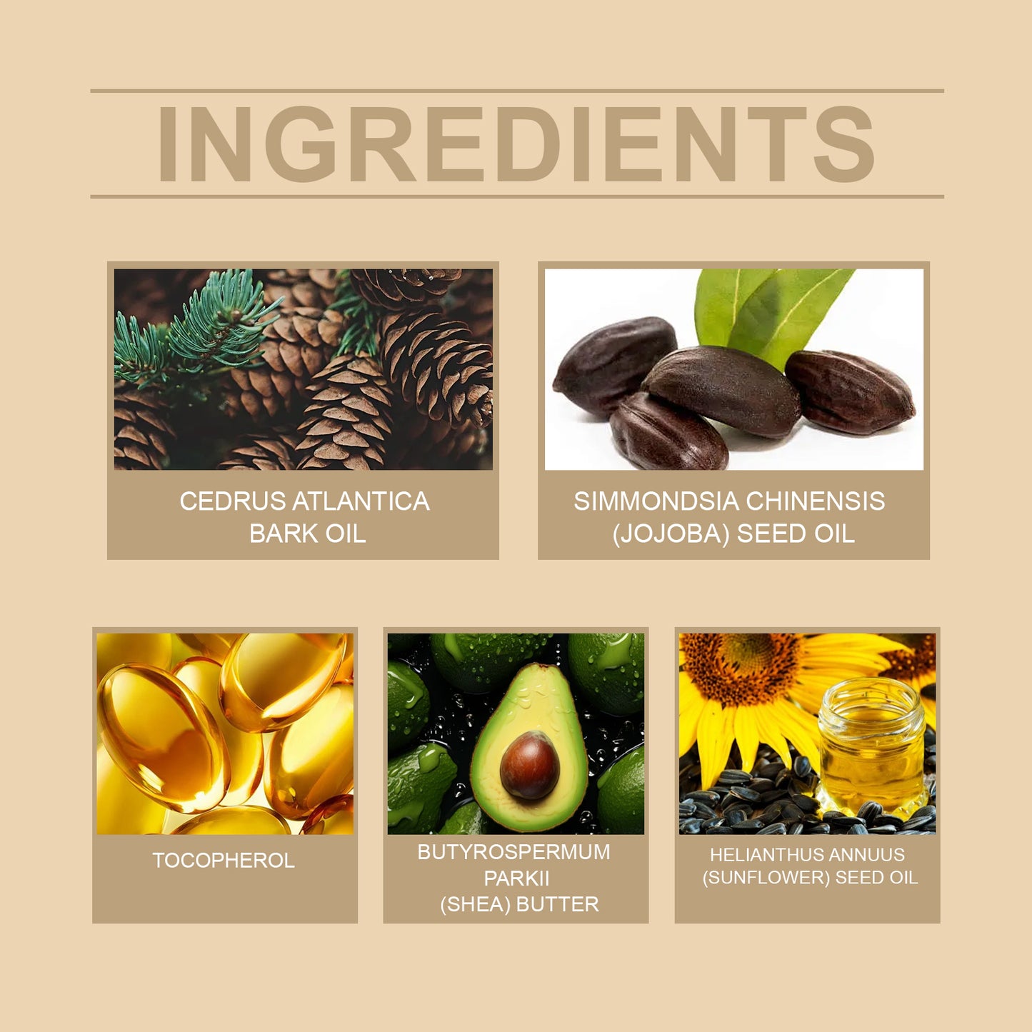 Huile essentielle de soin de la barbe pour hommes WoodSleep nourrit, fait briller et adoucit la barbe. Huile essentielle de soin pour la douceur de la barbe